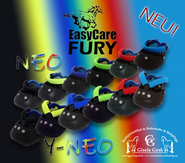 Symbolbild EasyCare Fury Neo