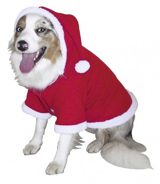 Weihnachtsmantel für Hunde