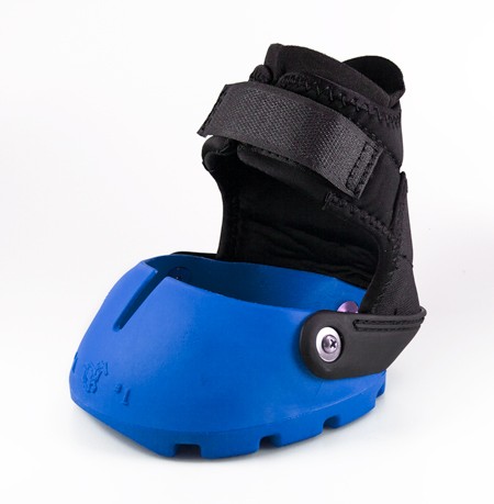 Easyboot Glove blau - Normalgrößen