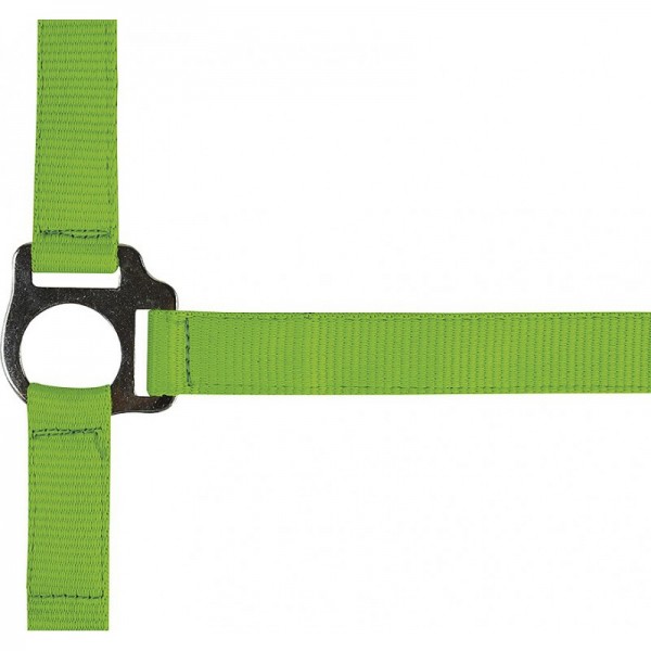 Halfter "Fluo"