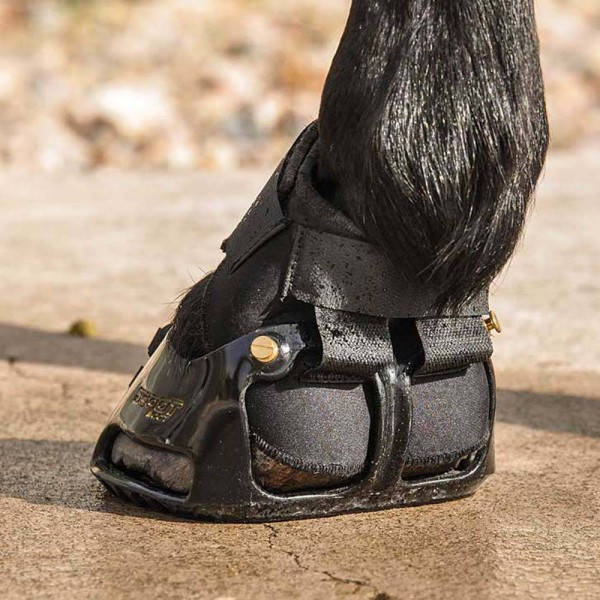 MultiPurpose hind
